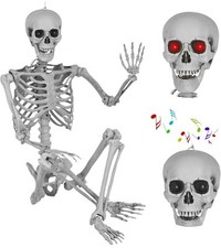 5.4ft/165cm Halloween Skeleton Life Size Posable Skeleton with LED Glowing Eyes picture