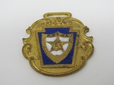 Antique P.O.S. of A. Medal Fob Patriotic Order Sons of America Enamel Jewel picture