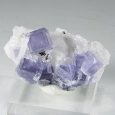 Gorgeous “WINDOW” FLUORITE on QUARTZ - Yaogangxian Mine, Hunan Province, China picture