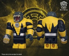 mr j   yellow  lantern picture