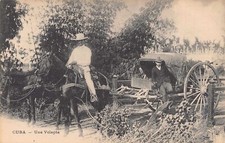 CUBAN 1900's RARE Native Cuban Volanta Carriage near Havana, CUBA  picture