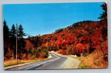 Fall Foliage Greetings Manchester Tennessee TN c1960 Vintage Postcard picture