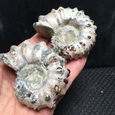 168g 2pc Natural Stone sculptor decoration specimens of Madagascar   fb1869 picture