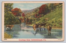 Greetings from Vintondale Pennsylvania Postcard picture