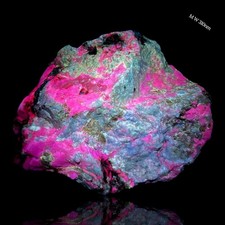 1987 GM Hackmanites with Fluorapatite, Phlogopite, Pyrite and Calcite picture