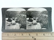 Mesa Verde Canyon Stereoview Keystone View Co. 1900s Colorado USA picture