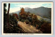 NC-North Carolina, Along Mt Mitchell Motor Road, Vintage Souvenir Postcard picture