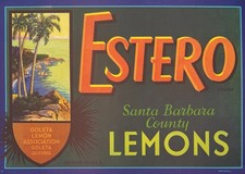 Vintage 1950s Estero Lemon Crate Label Goleta CA Santa Barbara County picture