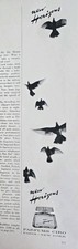 1963 Parfums Ciro New Horizons perfume bottle Birds Art Vintage Ad picture