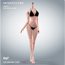 1/6 Scale Female Action Figure Body Full‑Steel Skeleton Articulated Doll Body picture