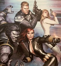 Secret Avengers #13 Limited Edition Giclee on Canvas Adi Granov Marvel Cap Widow picture