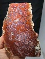 RT Rocks Rare Confetti Agate, Mexico, Large Polished End Piece Display  picture