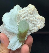 Exquisite Tourmaline On Albite Collectors or Resellers picture