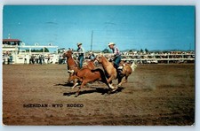 1953 Sheridan Wyoming Vintage Postcard Rodeo Bulldogging Dangerous Cowboy Sport picture