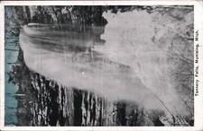 Tannery Falls Postcard - Scenic Landscape RPPC - Munising, Mich. 1910 picture