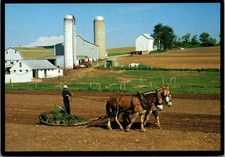 Amish Seasons Postcard Young Boy Mules Plowing Field Lancaster PA picture