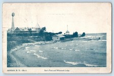 1904 Oswego New York Vintage Postcard Burt's Point Wenonah Lodge Seaside Posted picture