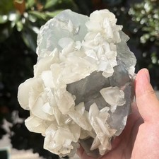 3.65LB Large Cubic Green Fluorite Specimen Crystal Cluster&Scaly Calcite Healing picture