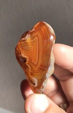 313 Carat Washington State Red Orange Carnelian Hand Polished Banded Agate picture