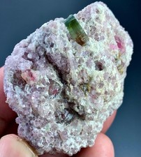 515 CT Terminated Natural bi Tourmaline Crystals BunchSpecimen From Afghanistan picture
