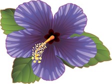 StickerTalk Purple Hibiscus Flower Vinyl Sticker 4x3 inches picture