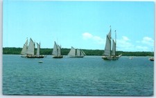 Charter schooners from Camden mustering in Eggemoggin Reach - West Brooklin, ME picture