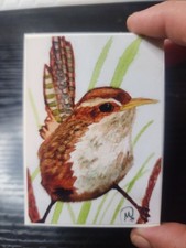 Mini Wren Watercolor Study, 2.5 x 3.5 ACEO Print picture