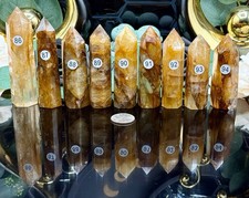 Natural Golden Healer Yellow Hematoid Points  picture