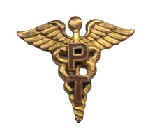 U.S. Army Medical Department Officer Physical Therapist Insignia picture