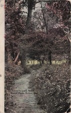 Eaton Park Indiana Lovers Lane Delaware County Vtg Postcard 41A picture