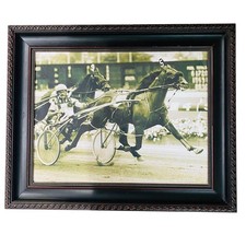 Large Vintage Harness Racing Horse Sulky Framed Photograph 38 x 28.5” XL picture