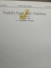 Lot 20 Vintage Tindall’s Farm Hatchery Letterhead St Augustine FL Ephemera 1950+ picture
