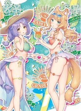 [USA] Maple and Cinnamon Swimsuit Nekopara W suede Tapestry Wall Scroll B2 Size picture