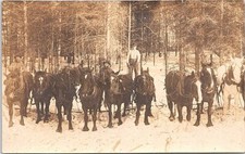 RPPC Beltrami County Bemidji Minnesota Logging Scene Occupational early 1900s picture