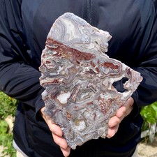 1.24LB Natural Crazy Lace Agate Slab Polished Raw Mineral Specimen Crystal Heali picture