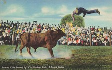 PANCHO VILLA TOSSED BY WILD BRAHMA BULL AT RODEO POSTCARD MEXICO CITY 1939 picture