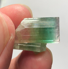 24 Cts Natural Tri Color Tourmaline Terminated Crystal Sourced from Afghanistan picture