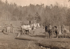Polk County TN Conasauga Lumber Logging Camp Workers RPPC Real Photo Postcard picture