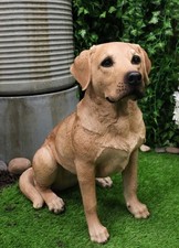 Large Realistic Lifelike Yellow Labrador Retriever Statue 21