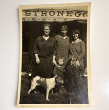 Vtg 1920s Photo STRONEGG Stronsdorf Mistelbach Austria Market Stall Women Dog picture