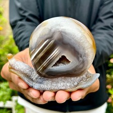 420G  Natural Ocean Agate Snail Hand Carving Gemstone Ornament Home Decoration picture