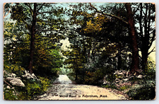 Petersham MA-Massachusetts, Wood Road, Landscape, Vintage Antique Postcard picture