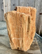 AWESOME* 4# Petrified Fossil Wood~Solid~Great Color & Detail~Freestanding  picture