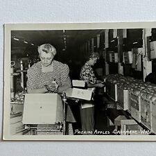 Vintage RPPC Real Photograph Postcard Occupational Packing Apples Cashmere WA picture