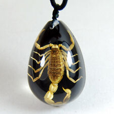 NEW REAL BLACK GOLDEN SCORPION LUCITE NECKLACE PENDANT INSECT JEWELRY TAXIDERMY picture