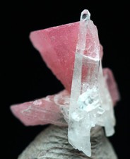RHODOCHROSITE QUARTZ Crystal Cluster Mineral Micromount Specimen SWEET HOME MINE picture
