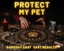 Pet Protection Spell - Healing Energy, Calm Spirit, and Energetic Shield for You picture