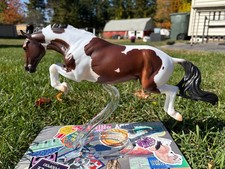 Breyerfest 2025 Hooplah Matte version 1/2250 picture