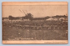 J90/ Waverly Iowa Postcard c1910 The Live Fair Grounds Crowd Automobiles 600 picture