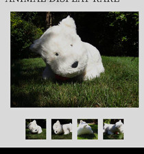 American Girl Coconut Westie Plush Dog Stuffed Animal Huge Jumbo picture